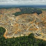 Sumber: EcoNusa