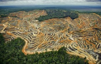 Sumber: EcoNusa