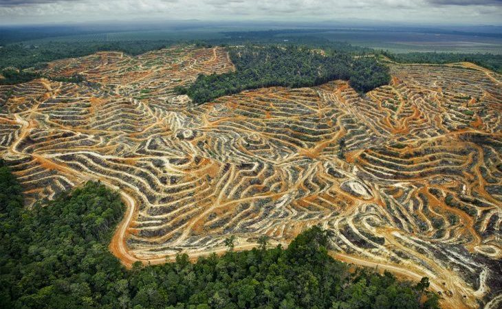 Sumber: EcoNusa